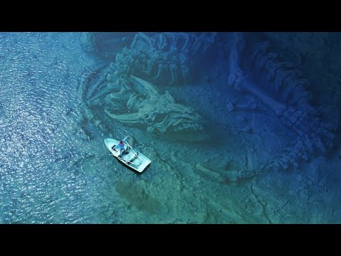 5 Bizarnih Stvari Pronadjenih Pod Vodom