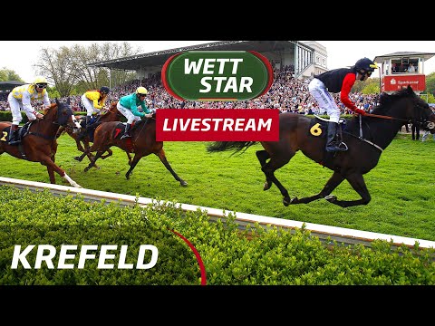 Livestream Krefeld 12.11.