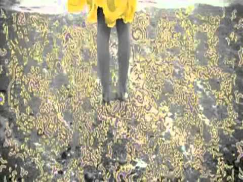 Golden Silvers - 'Please Venus' (Official Video),good