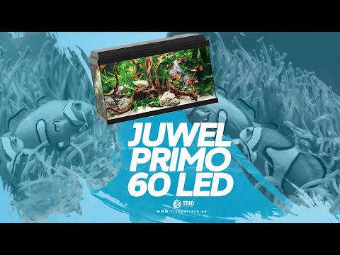 Juwel Primo 60 LED - Black | Quick Review | Aquarium | Fish Tank | Dubai | UAE | Trio Pet Care