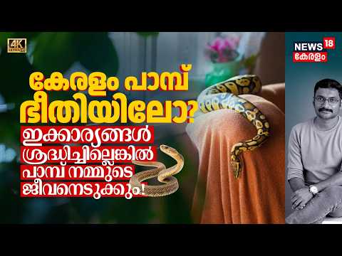 കേരളം പാമ്പ് ഭീതിയിൽ? ഇക്കാര്യം ശ്രദ്ധിച്ചില്ലേൽ പാമ്പ് നമ്മുടെ ജീവനെടുക്കും! Snake Safety 4K|N18V