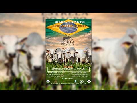 LEILÃO GADO DE CORTE ESTRELA DO AGRO LEILÕES  FAINA-GO 04/03/2026 | Leilão ao Vivo - Leilão de Gado