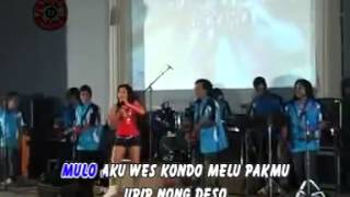 Download lagu Ratna Antika   Ngamen 2 SRD version   mp3