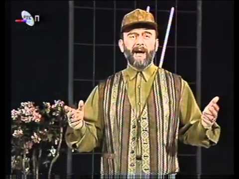 Disa Milovanović - Ne tuguj srce moje