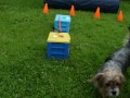 Barney S Fun And Games Part 2