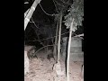 Dunia Imeisha Shuhuda Wachawi Wanaswa Live Na CCTV Camera Wakifanya Yao