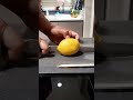 CUTTING FRESH LEMON SATISFYING SOUNDS TRENDING