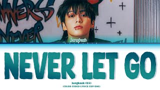 Download lagu Jungkook(정국) - NEVER LET GO [Color Coded Lyrics Esp / Eng] mp3