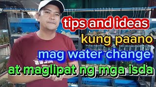 PAANO MAG WATER CHANGE AT MAGLIPAT NG ISDA/ HOW TO TRANSFER FISH TO OTHER TANK