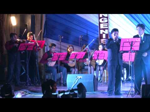 Escuela Profesional de Ingeniería Civil - Universidad Nacional del Altiplano