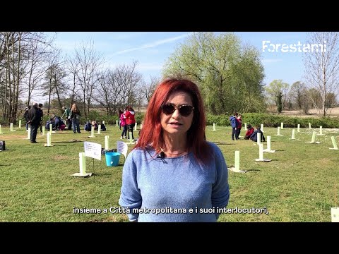 Forestami 2022 - Intervista - Comune di Noviglio
