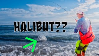 The QUEST to get @HeySkipper on his 1st CALIFORNIA HALIBUT!! [Surf Fishing]