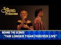 Far Longer Than Forever Liz Callaway And David Burnham Swan Princess 25th Anniversary