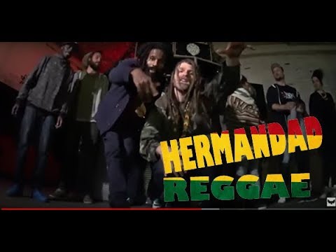 Hermandad - Falkonection el Amansador lg. Amlak Redsquare  - DYS