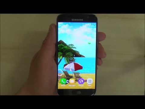 Paradise Live Wallpaper Video