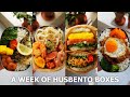 A Week Of Husband Lunch Boxes 47 Custard Cream Apple Pie Square
