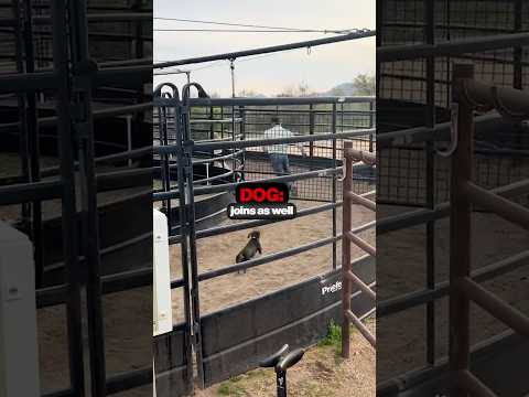 Being Small Saved Him 😱