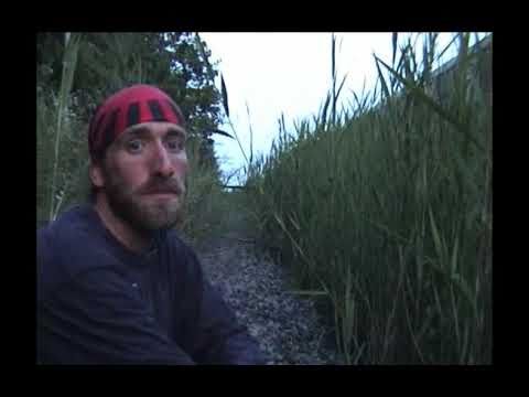 Freight Train Hopping - Freights in the States 10 - Return to Selkirk Yard