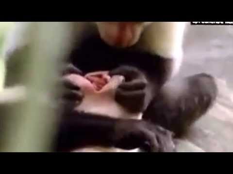 Nacht tag  geile tierwelt