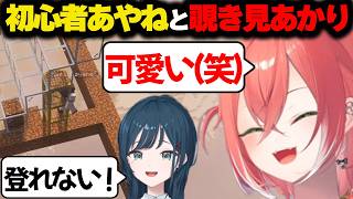 頑張って建築に挑む白砂あやねを発見しニヤつきが止まらない獅子堂あかり【にじさんじ/切り抜き/あらなみマイクラ】