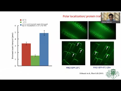 Identifying the Molecular Regulators in Quest of Developing Cold Stress Resilient Plants