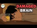Know An Alcoholic Alcohol Science On The Brain