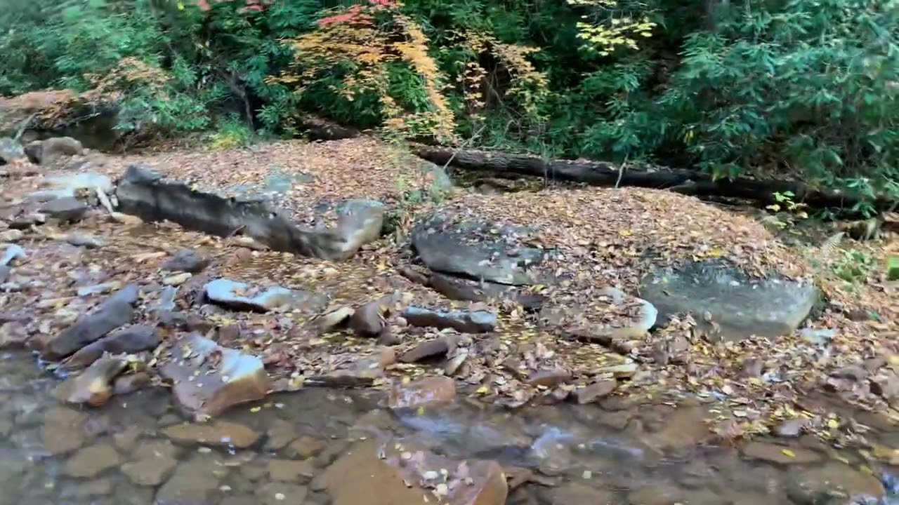 6- Positive Results from AMD Mitigation Project- Clearfield County