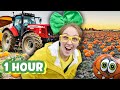 Brecky S Mega Halloween Harvest 1 Hour Of Double Pumpkin Patch Adventure Extravaganza