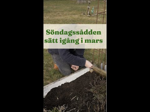Söndagssådden, sätt igång i mars - Trädgårdshacks med GardenR