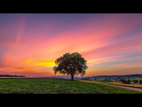 Thomas Coastline vs Schodt and Dankann (Progressive Mix)