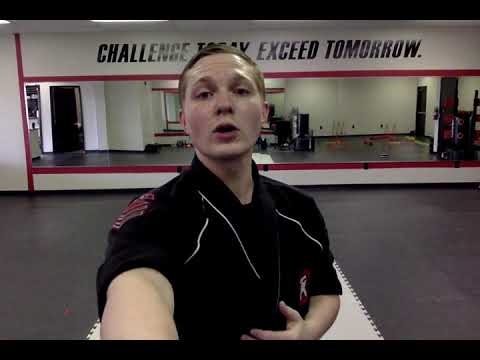 Your Second Martial Arts Lesson...Front Kicks, High Blocks, and Knife hand Strikes!