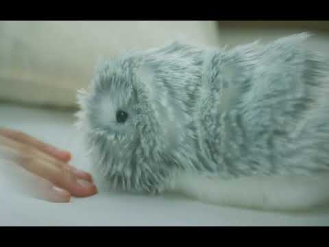 CASIO,AIペットロボット,Moflin (モフリン)｜鍵盤、電子ピアノ通販otto