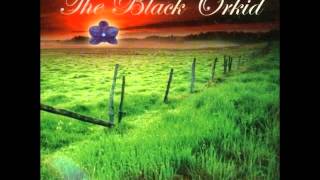 The Black Orkid - High Ground