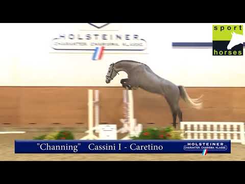 Cassini I | Caretino | Holstein