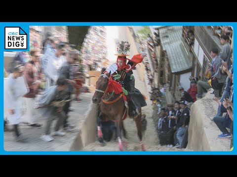 馬は反芻動物ですか?