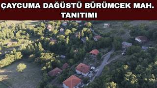 Çaycuma Dağüstü Bürümçek Mahallesi