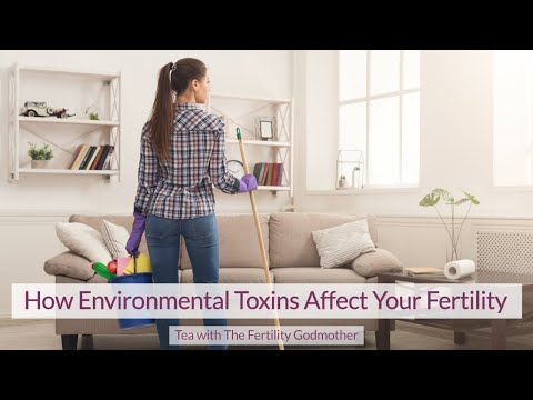 How Environmental Toxins Affect Fertility