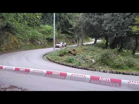 Targa Florio 2021 test De Tommaso