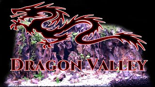 Dragon Valley Aquascape | The HARDEST Scape I've Attempted | Dragon Stone Desert Theme.