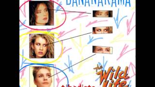 The Wild Life (Instrumental) - Bananarama