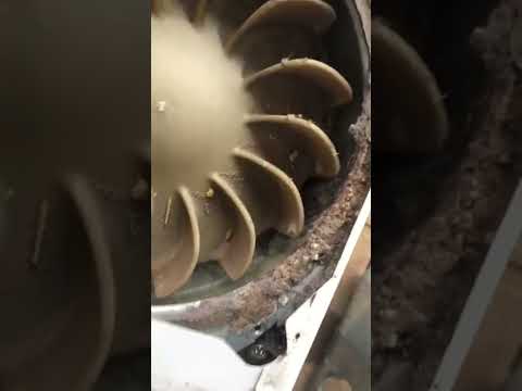 Is Your Dryer Making a Rattling Noise? | The Southern Skunk