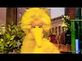 Episode 3824 Ending But Big Bird Has Larry The Cucumber S Voice Aka Robin Good S Late 90s Voice