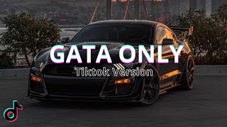Download lagu Gata Only Remix (Tiktok Version) mp3