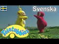 Teletubbies Svenska Hela Episoden Sammanställning 1 Timme