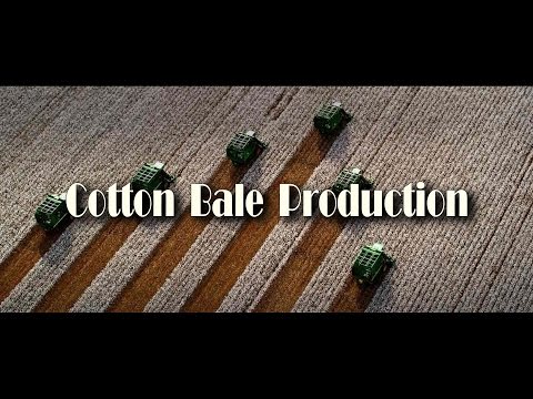 Cotton Bale Production