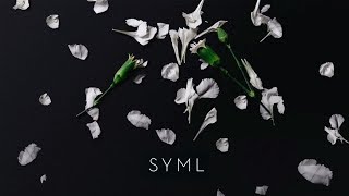 Musik-Video-Miniaturansicht zu Meant to Stay Hid Songtext von SYML