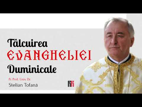 Steps of Faith and Steps of Reason | 9th Sunday after Pentecost