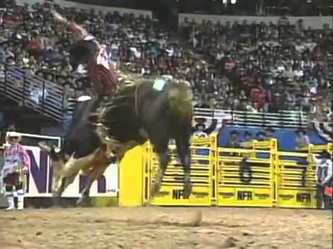 Playboy (Bucking Bull) - 93 NFR