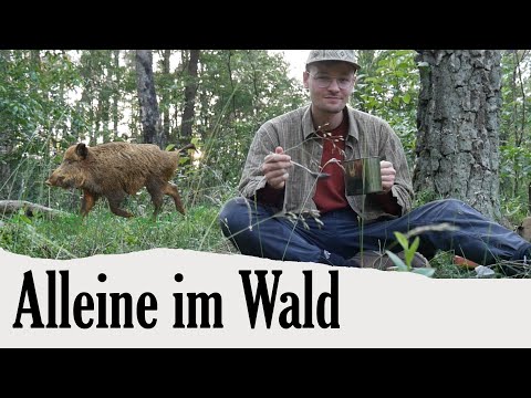 Meine ERSTE Nacht ALLEIN im Wald | von Wildschweinen überrascht | Natürlich draußen #6