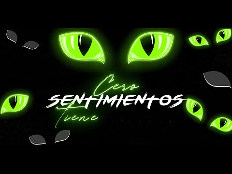 Oplus - Gata Negra (Lyric Video)